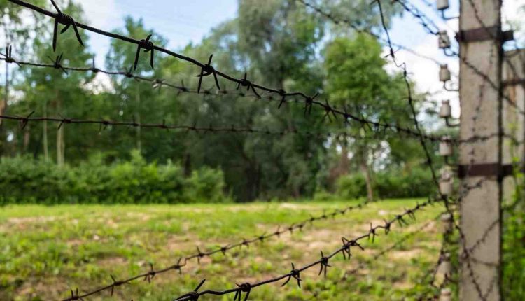 How much does a solar electric fence cost?