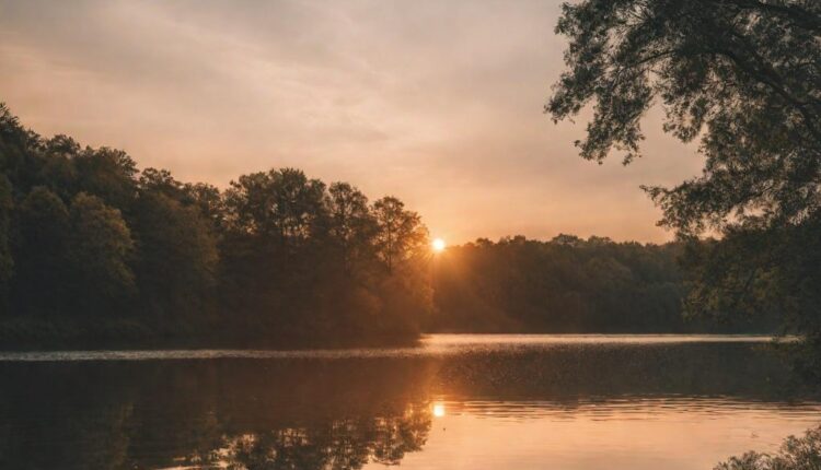 Dive into the world of Lakeside Journals, where nature meets creativity. Learn how to capture the essence of lakeside living in your journal.